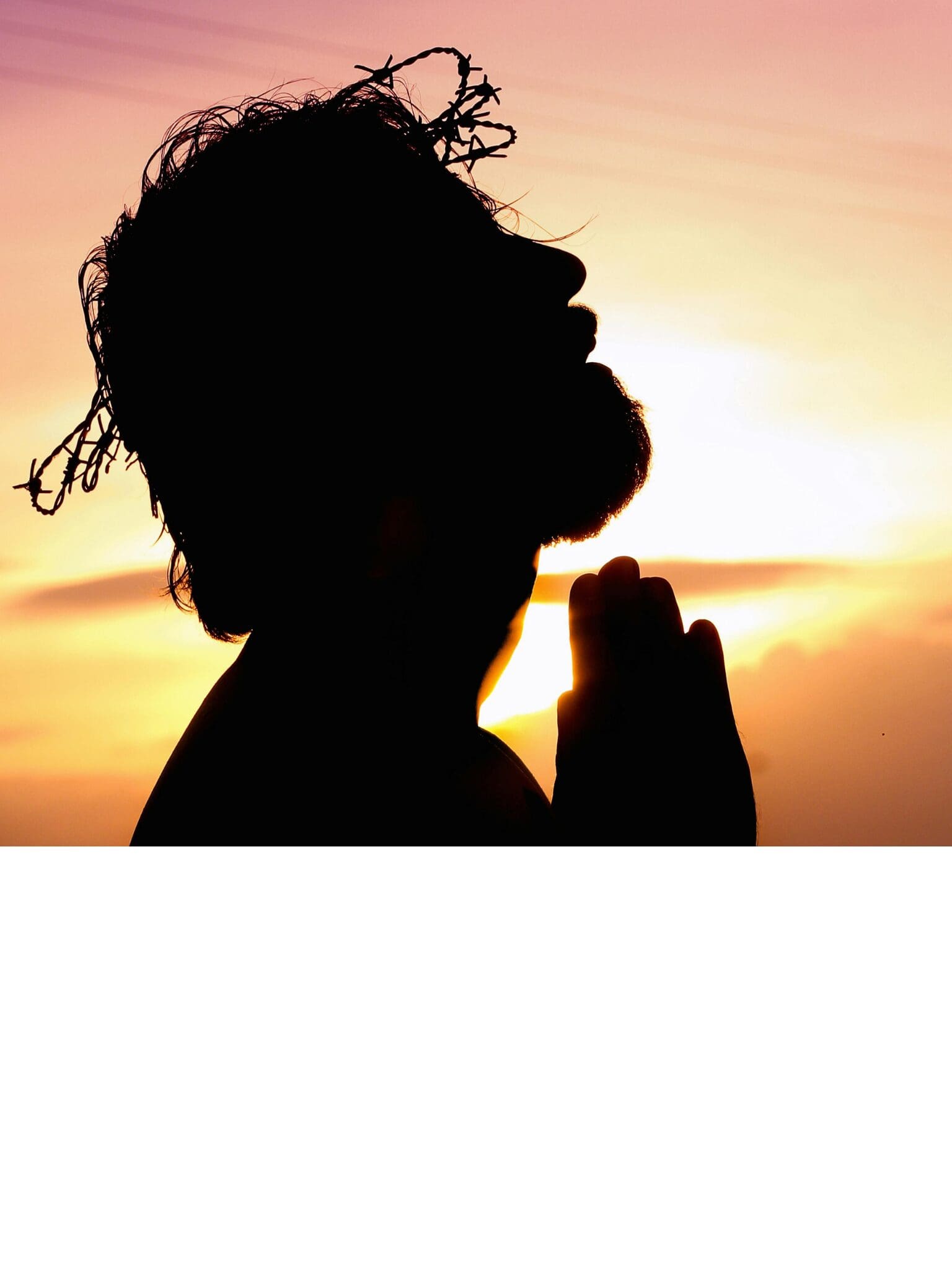 Did Jesus ever say that he was God?